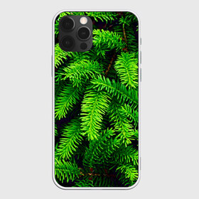 Чехол для iPhone 12 Pro Max с принтом Ёлка в городе Новоалтайск, Силикон |  | green | дерево | елка | зеленый | природа