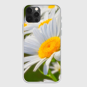 Чехол для iPhone 12 Pro Max с принтом Ромашки в городе Новоалтайск, Силикон |  | фото