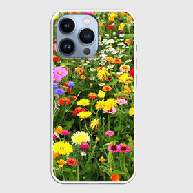 Чехол для iPhone 13 Pro с принтом Полевые цветы 1 в городе Новоалтайск,  |  | поле | полевые цветы | цветы