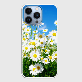 Чехол для iPhone 13 Pro с принтом Полевые цветы 7 в городе Новоалтайск,  |  | поле | полевые цветы | цветы