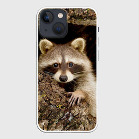 Чехол для iPhone 13 mini с принтом Енот в городе Новоалтайск,  |  | енот | звери | полоскун | природа
