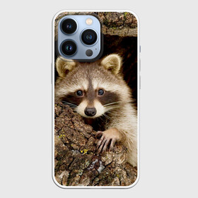 Чехол для iPhone 13 Pro с принтом Енот в городе Новоалтайск,  |  | енот | звери | полоскун | природа