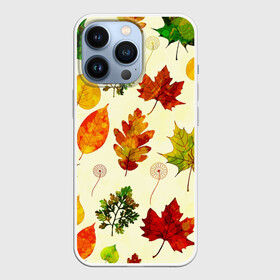 Чехол для iPhone 13 Pro с принтом Осень в городе Новоалтайск,  |  | Тематика изображения на принте: листва | листья | осень | оформление | пёстрые листочки | слой | текстура | трайбл | узор | фон