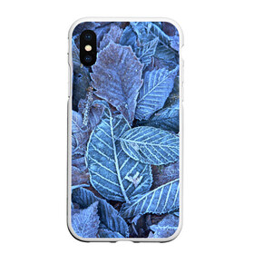 Чехол для iPhone XS Max матовый с принтом Застывшие листья в городе Новоалтайск, Силикон | Область печати: задняя сторона чехла, без боковых панелей | иней | мороз | осень | холод