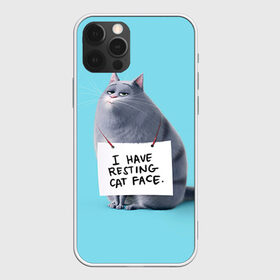 Чехол для iPhone 12 Pro Max Домашняя киса: в городе Новоалтайск, Силикон | | animal | cat | pets | the secret life of pets | домашние животные | животные | кот | котенок | котик | тайная жизнь домашних животных