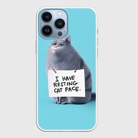 Чехол для iPhone 13 Pro Max с принтом Домашняя киса в городе Новоалтайск,  |  | animal | cat | pets | the secret life of pets | домашние животные | животные | кот | котенок | котик | тайная жизнь домашних животных