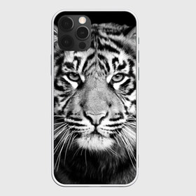 Чехол для iPhone 12 Pro Max с принтом Красавец тигр в городе Новоалтайск, Силикон |  | Тематика изображения на принте: джунгли | дикая кошка | животные | зверь | король | кровь | мясо | опасность | охотник | тигр | хищник | царь | цирк