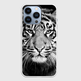 Чехол для iPhone 13 Pro с принтом Красавец тигр в городе Новоалтайск,  |  | джунгли | дикая кошка | животные | зверь | король | кровь | мясо | опасность | охотник | тигр | хищник | царь | цирк