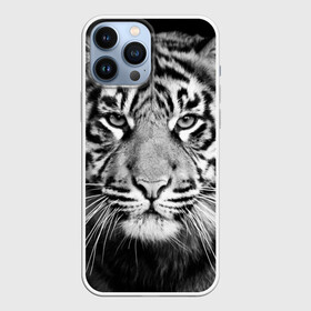 Чехол для iPhone 13 Pro Max с принтом Красавец тигр в городе Новоалтайск,  |  | Тематика изображения на принте: джунгли | дикая кошка | животные | зверь | король | кровь | мясо | опасность | охотник | тигр | хищник | царь | цирк