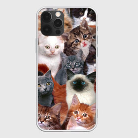 Чехол для iPhone 12 Pro Max с принтом Котики в городе Новоалтайск, Силикон |  | cat | cats | кот | котик | коты | котята