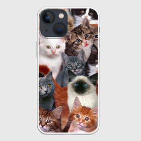 Чехол для iPhone 13 mini с принтом Котики в городе Новоалтайск,  |  | Тематика изображения на принте: cat | cats | кот | котик | коты | котята