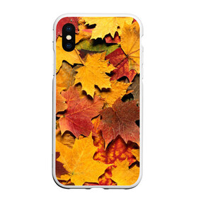 Чехол для iPhone XS Max матовый с принтом Осень на дворе в городе Новоалтайск, Силикон | Область печати: задняя сторона чехла, без боковых панелей | бордовый | жёлтый | красный | листва | листья