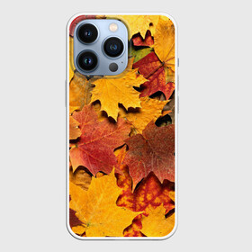 Чехол для iPhone 13 Pro с принтом Осень на дворе в городе Новоалтайск,  |  | Тематика изображения на принте: бордовый | жёлтый | красный | листва | листья