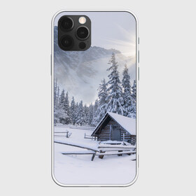 Чехол для iPhone 12 Pro Max с принтом Зима в городе Новоалтайск, Силикон |  | вьюга | горы | зима | лес | метель | мороз | пейзаж | природа | пурга | снег | снегопад | сосулька | стужа | сугроб | холод