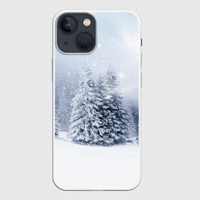 Чехол для iPhone 13 mini с принтом Зимняя пора в городе Новоалтайск,  |  | вьюга | горы | зима | лес | метель | мороз | пейзаж | пурга | снег | снегопад | сосулька | стужа | сугроб | холод