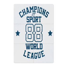 Магнитный плакат 2Х3 с принтом Champions League 88 в городе Новоалтайск, Полимерный материал с магнитным слоем | 6 деталей размером 9*9 см | Тематика изображения на принте: 88 | champions league 88 | sport | stars | world | звёзды | мировая лига | чемпион в спорте