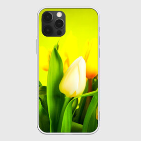 Чехол для iPhone 12 Pro Max с принтом Тюльпаны в городе Новоалтайск, Силикон |  | букет | поле | природа | тюльпаны | цветы