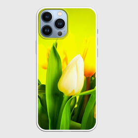 Чехол для iPhone 13 Pro Max с принтом Тюльпаны в городе Новоалтайск,  |  | Тематика изображения на принте: букет | поле | природа | тюльпаны | цветы