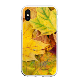 Чехол для iPhone XS Max матовый с принтом Осенние листья в городе Новоалтайск, Силикон | Область печати: задняя сторона чехла, без боковых панелей | жёлтый | зелёный | клён | листва