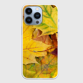 Чехол для iPhone 13 Pro с принтом Осенние листья в городе Новоалтайск,  |  | Тематика изображения на принте: жёлтый | зелёный | клён | листва