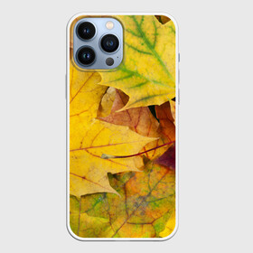 Чехол для iPhone 13 Pro Max с принтом Осенние листья в городе Новоалтайск,  |  | Тематика изображения на принте: жёлтый | зелёный | клён | листва