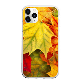 Чехол для iPhone 11 Pro Max матовый с принтом Кленовые листья в городе Новоалтайск, Силикон |  | жёлтый | зелёный | красный | листва | оранжевый | осень