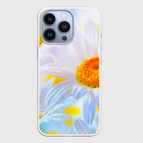Чехол для iPhone 13 Pro с принтом Ромашки в городе Новоалтайск,  |  | красота | поле | природа | ромашка | цветы