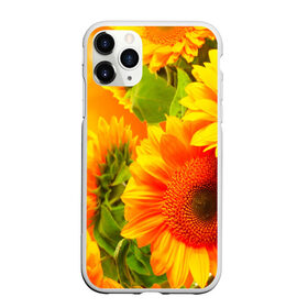 Чехол для iPhone 11 Pro матовый с принтом Подсолнух в городе Новоалтайск, Силикон |  | желтая | подсолнух | поле | природа | цветы