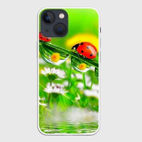 Чехол для iPhone 13 mini с принтом Макро в городе Новоалтайск,  |  | божья коровка | насекомые | одуванчик | природа | цветы