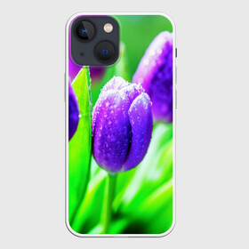 Чехол для iPhone 13 mini с принтом Тюльпаны в городе Новоалтайск,  |  | красота | поле | природа | тюльпаны | цветы