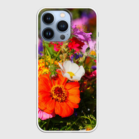 Чехол для iPhone 13 Pro с принтом Цветы в городе Новоалтайск,  |  | лепесток | природа | цветок | яркая