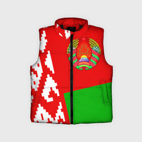 Детский жилет утепленный 3D с принтом Беларусь 2 в городе Новоалтайск,  |  | belarus | беларусь