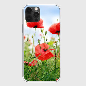 Чехол для iPhone 12 Pro Max с принтом Дикий мак в городе Новоалтайск, Силикон |  | Тематика изображения на принте: зелень | лето | луг | лужайка | мак | небо | облака | поле | полевые цветы | природа | растения | растительность
