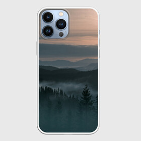 Чехол для iPhone 13 Pro Max с принтом Туман в горах в городе Новоалтайск,  |  | Тематика изображения на принте: ветки | деревья | лес | туман