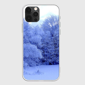 Чехол для iPhone 12 Pro Max с принтом Зима в городе Новоалтайск, Силикон |  | Тематика изображения на принте: деревья | природа | синий | снег | снежный
