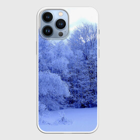 Чехол для iPhone 13 Pro Max с принтом Зима в городе Новоалтайск,  |  | Тематика изображения на принте: деревья | природа | синий | снег | снежный
