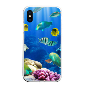 Чехол для iPhone XS Max матовый с принтом Дайвинг в городе Новоалтайск, Силикон | Область печати: задняя сторона чехла, без боковых панелей | Тематика изображения на принте: дайвинг | египет | каникулы | коралловый риф | крабы | красное море | море | морские обитатели | океан | отдых | отпуск | подводные красоты | приключение | рыбки | рыбы | туризм