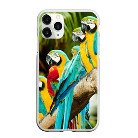 Чехол для iPhone 11 Pro Max матовый с принтом Попугаи на ветке в городе Новоалтайск, Силикон |  | Тематика изображения на принте: джунгли | клюв | острова | перья | попугай | птица | тропики | экзотика