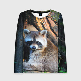 Женский лонгслив 3D с принтом Енот в городе Новоалтайск, 100% полиэстер | длинные рукава, круглый вырез горловины, полуприлегающий силуэт | енот | животные | милый