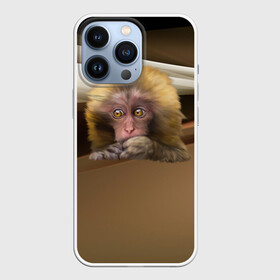 Чехол для iPhone 13 Pro с принтом Мартышка в городе Новоалтайск,  |  | голова животного | мартышка | обезьяна | прикольные картинки