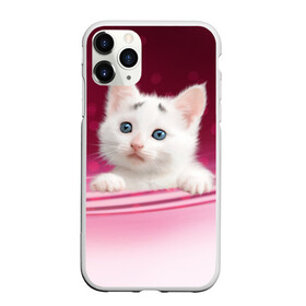 Чехол для iPhone 11 Pro матовый с принтом Белый котёнок в городе Новоалтайск, Силикон |  | киска | кот | котёнок | кошка | прикольные картинки