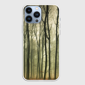Чехол для iPhone 13 Pro Max с принтом Чарующий лес в городе Новоалтайск,  |  | Тематика изображения на принте: красиво | лес | природа | фото