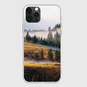 Чехол для iPhone 12 Pro Max с принтом Туман в горах в городе Новоалтайск, Силикон |  | пейзаж