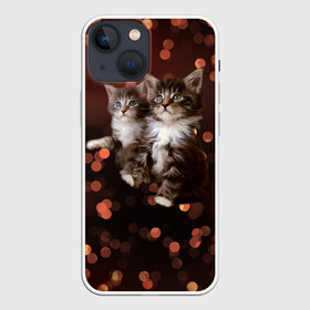 Чехол для iPhone 13 mini с принтом Котята в городе Новоалтайск,  |  | киска | кот | котёнок | кошка | прикольные картинки