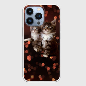 Чехол для iPhone 13 Pro с принтом Котята в городе Новоалтайск,  |  | Тематика изображения на принте: киска | кот | котёнок | кошка | прикольные картинки