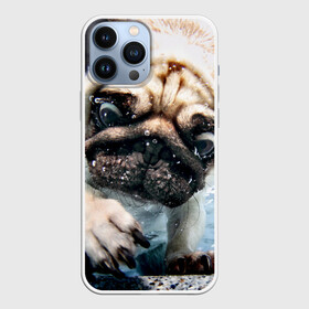 Чехол для iPhone 13 Pro Max с принтом Мопс в городе Новоалтайск,  |  | Тематика изображения на принте: animal | breed | bubbles | diving | dog | eyes bulging | pug | water | вода | выпученные | глаза | животное | мопс | ныряет | порода | пузыри | собака