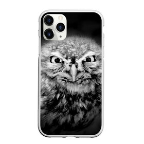 Чехол для iPhone 11 Pro матовый с принтом Сова в городе Новоалтайск, Силикон |  | beak | bird | eyes | fear | hypnosis | look | night | owl | predator | взгляд | гипноз | глаза | клюв | ночь | птица | сова | хищник