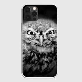 Чехол для iPhone 12 Pro Max с принтом Сова в городе Новоалтайск, Силикон |  | Тематика изображения на принте: beak | bird | eyes | fear | hypnosis | look | night | owl | predator | взгляд | гипноз | глаза | клюв | ночь | птица | сова | хищник