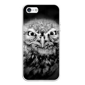Чехол для iPhone 5/5S матовый с принтом Сова в городе Новоалтайск, Силикон | Область печати: задняя сторона чехла, без боковых панелей | beak | bird | eyes | fear | hypnosis | look | night | owl | predator | взгляд | гипноз | глаза | клюв | ночь | птица | сова | хищник