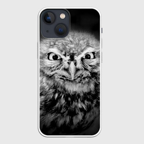 Чехол для iPhone 13 mini с принтом Сова в городе Новоалтайск,  |  | beak | bird | eyes | fear | hypnosis | look | night | owl | predator | взгляд | гипноз | глаза | клюв | ночь | птица | сова | хищник